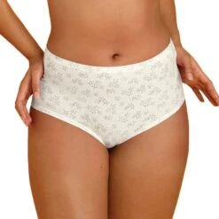 Culotte Taille Haute Anita Comfort Clara Art Crystal