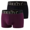 Pack 2 Boxers HOT Noir Et Violet En Polyamide 2 Pack 2 Boxers HOT Noir Et Violet En Polyamide -Sous Vêtement Soldes 1600x1600 pack 2 boxers hot noir et violet en polyamide p 51 22012018